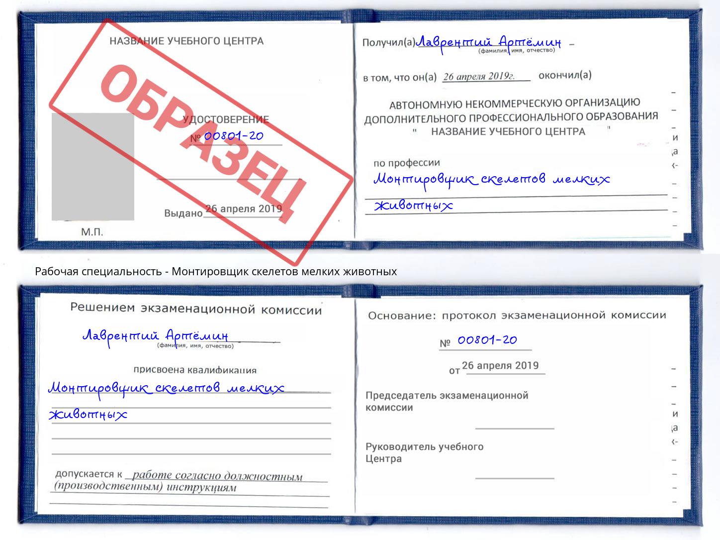 Монтировщик скелетов мелких животных Ангарск